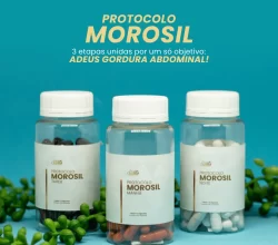 Protocolo Morosil