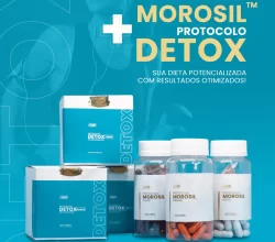 Protocolo Morosil + Protocolo Detox