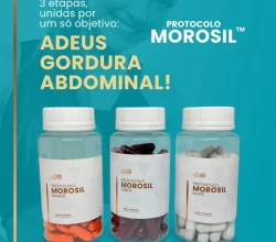 Protocolo Morosil + Protocolo Detox